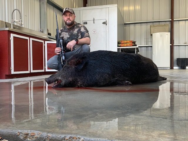 Successful hog hunter standing proudly behind the hog, at the hunting ranch.
